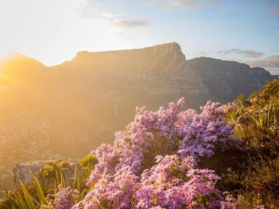 London to Cape Town Intl